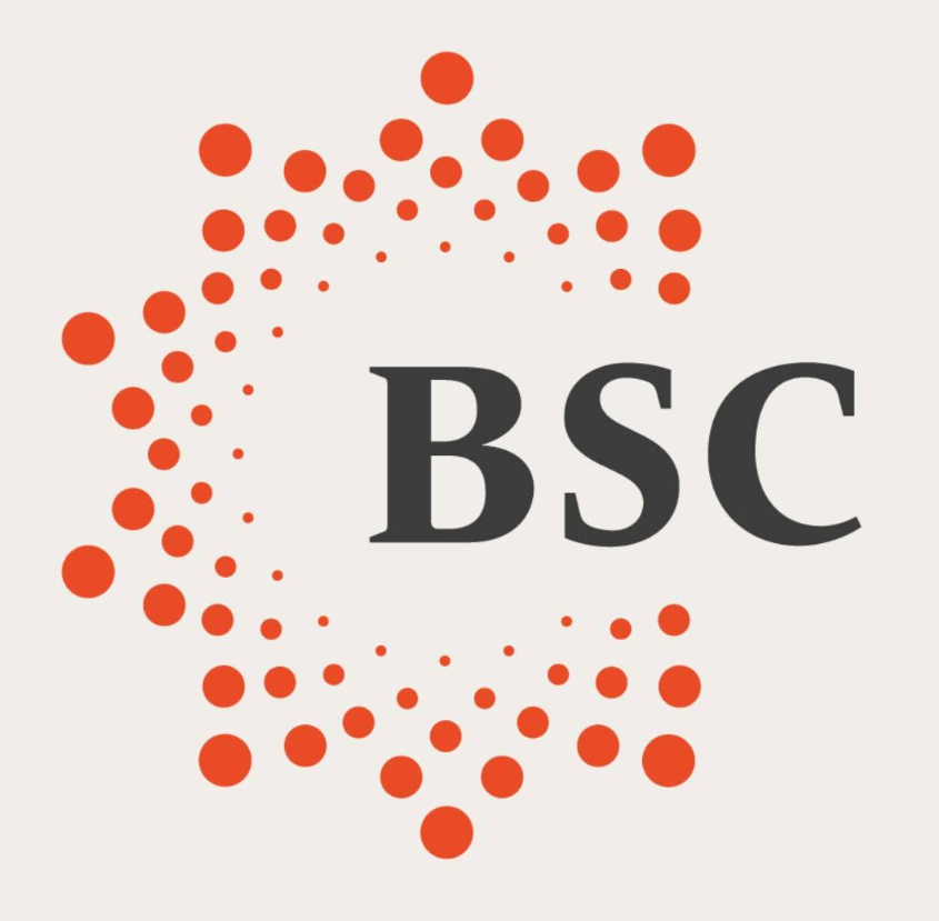 BSC Malta 로고